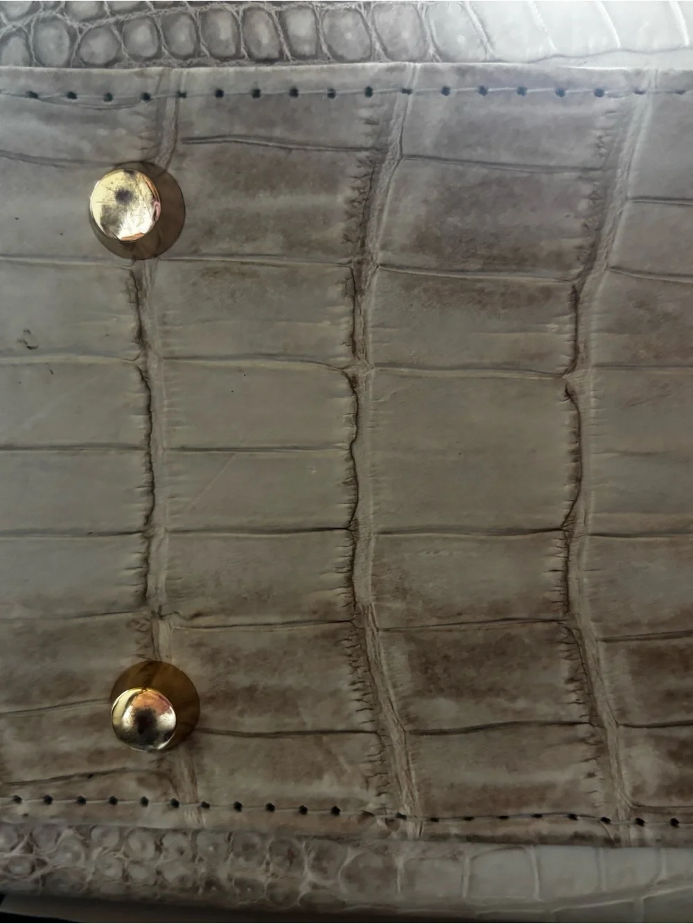 Genuine Himalayan crocodile handbag